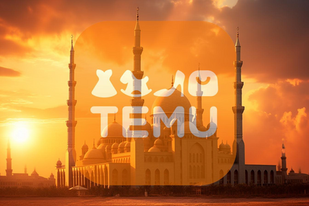 Temu联合国际反假冒联盟推出知识产权保护专项合作项目