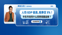 人均GDP极高、税率仅5%！中东VAT凭什么受跨境圈追捧？
