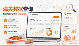 海关数据查询平台哪家好？先查清你的目标市场能拿到哪一层数据